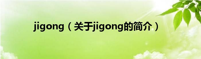 jigong（關(guān)于jigong的簡(jiǎn)介）