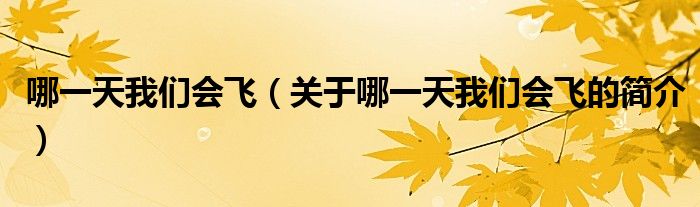 哪一天我們會(huì)飛（關(guān)于哪一天我們會(huì)飛的簡(jiǎn)介）