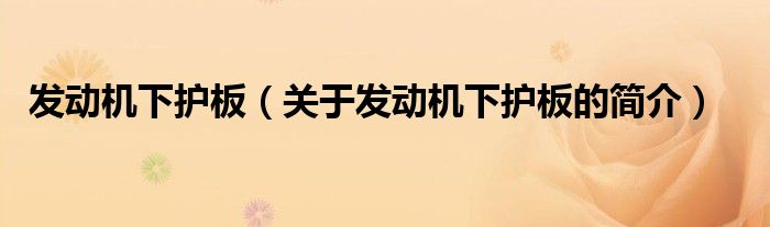 發(fā)動(dòng)機(jī)下護(hù)板（關(guān)于發(fā)動(dòng)機(jī)下護(hù)板的簡(jiǎn)介）