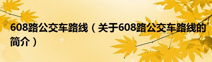 608路公交車(chē)路線（關(guān)于608路公交車(chē)路線的簡(jiǎn)介）