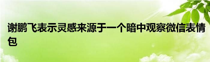 謝鵬飛表示靈感來源于一個(gè)暗中觀察微信表情包