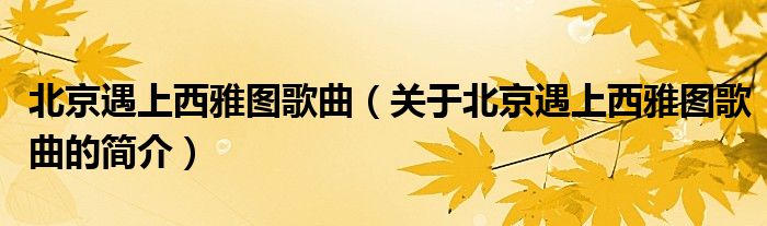 北京遇上西雅圖歌曲（關(guān)于北京遇上西雅圖歌曲的簡(jiǎn)介）