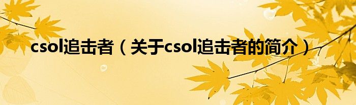 csol追擊者（關(guān)于csol追擊者的簡(jiǎn)介）