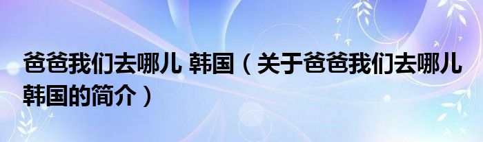 爸爸我們?nèi)ツ膬?韓國（關(guān)于爸爸我們?nèi)ツ膬?韓國的簡介）