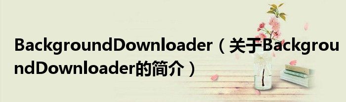 BackgroundDownloader（關于BackgroundDownloader的簡介）