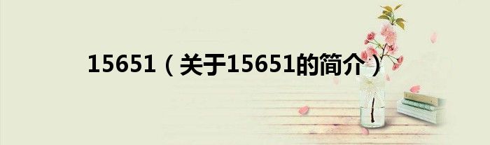 15651（關于15651的簡介）