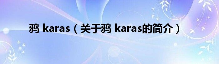 鴉 karas（關(guān)于鴉 karas的簡(jiǎn)介）