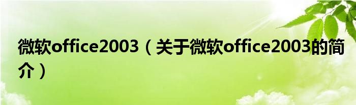 微軟office2003（關(guān)于微軟office2003的簡介）