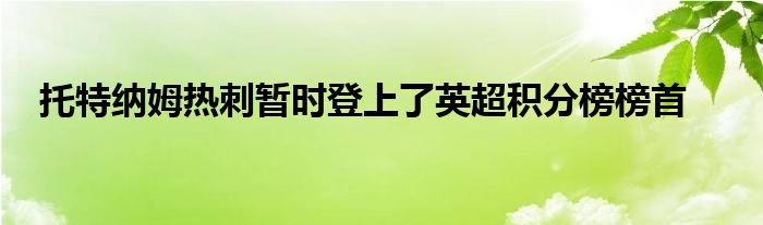 托特納姆熱刺暫時登上了英超積分榜榜首