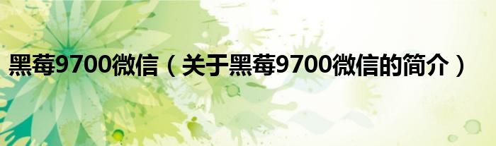 黑莓9700微信（關(guān)于黑莓9700微信的簡(jiǎn)介）