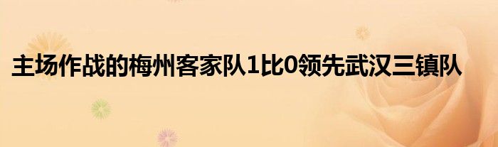 主場作戰(zhàn)的梅州客家隊(duì)1比0領(lǐng)先武漢三鎮(zhèn)隊(duì)