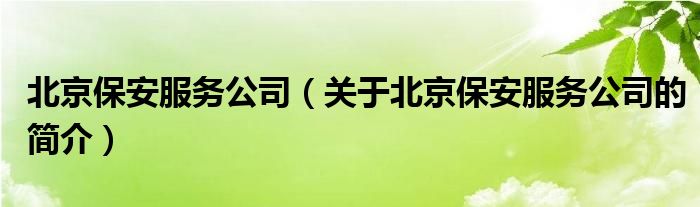 北京保安服務(wù)公司（關(guān)于北京保安服務(wù)公司的簡(jiǎn)介）