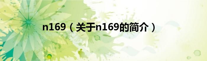 n169（關于n169的簡介）