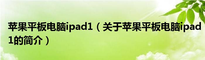 蘋果平板電腦ipad1（關(guān)于蘋果平板電腦ipad1的簡介）