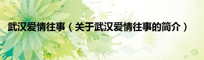 武漢愛(ài)情往事（關(guān)于武漢愛(ài)情往事的簡(jiǎn)介）