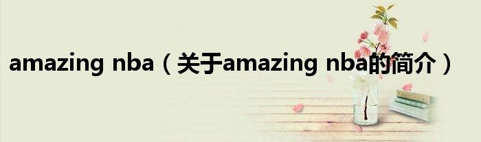 amazing nba（關(guān)于amazing nba的簡(jiǎn)介）