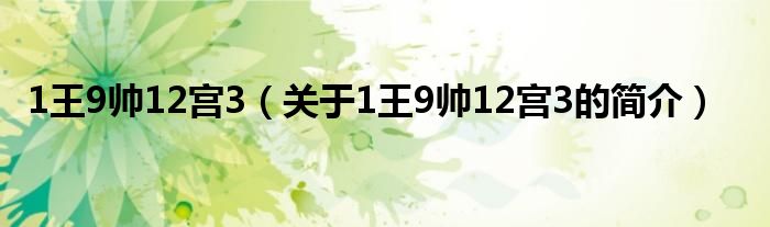 1王9帥12宮3（關(guān)于1王9帥12宮3的簡(jiǎn)介）