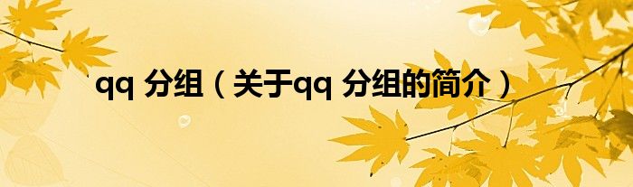 qq 分組（關(guān)于qq 分組的簡介）