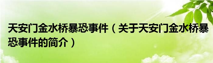 天安門(mén)金水橋暴恐事件（關(guān)于天安門(mén)金水橋暴恐事件的簡(jiǎn)介）