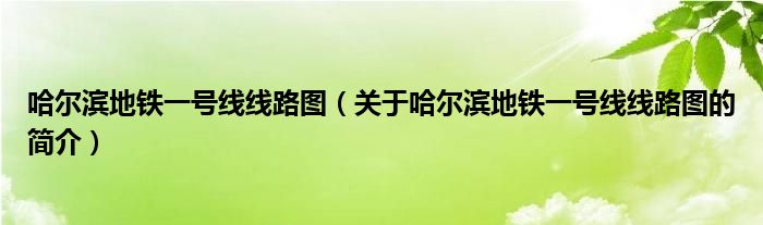 哈爾濱地鐵一號(hào)線線路圖（關(guān)于哈爾濱地鐵一號(hào)線線路圖的簡(jiǎn)介）