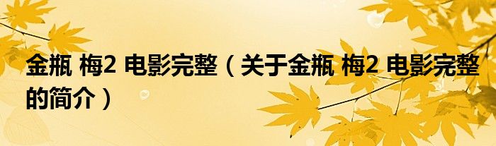 金瓶 梅2 電影完整（關于金瓶 梅2 電影完整的簡介）