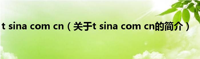 t sina com cn（關(guān)于t sina com cn的簡介）