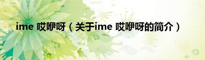 ime 哎咿呀（關于ime 哎咿呀的簡介）