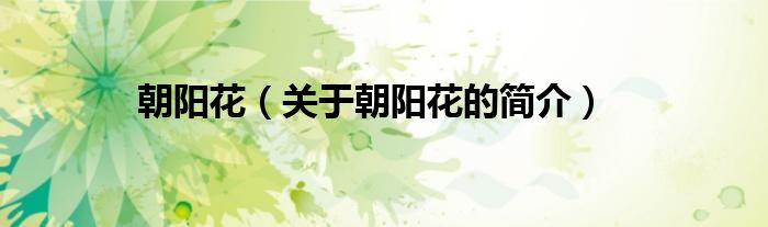 朝陽(yáng)花（關(guān)于朝陽(yáng)花的簡(jiǎn)介）