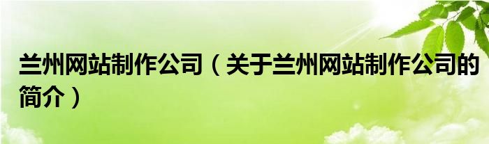 蘭州網(wǎng)站制作公司（關(guān)于蘭州網(wǎng)站制作公司的簡介）