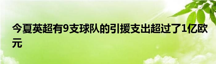 今夏英超有9支球隊(duì)的引援支出超過(guò)了1億歐元