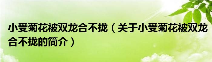 小受菊花被雙龍合不攏（關(guān)于小受菊花被雙龍合不攏的簡(jiǎn)介）