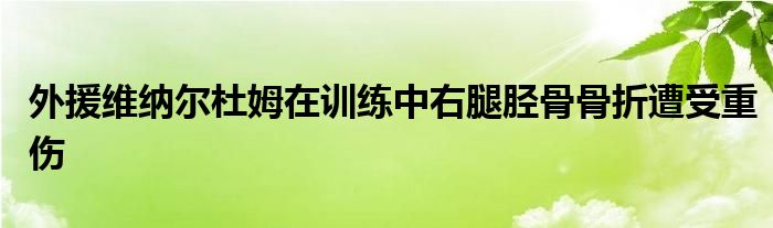 外援維納爾杜姆在訓練中右腿脛骨骨折遭受重傷