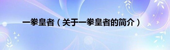 一拳皇者（關(guān)于一拳皇者的簡(jiǎn)介）