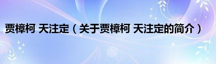 賈樟柯 天注定（關于賈樟柯 天注定的簡介）