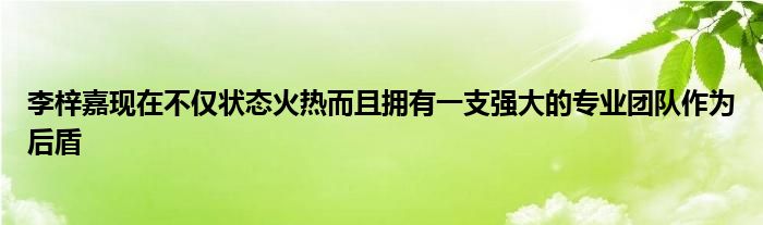 李梓嘉現在不僅狀態(tài)火熱而且擁有一支強大的專業(yè)團隊作為后盾