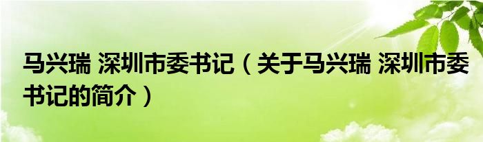 馬興瑞 深圳市委書記（關(guān)于馬興瑞 深圳市委書記的簡介）