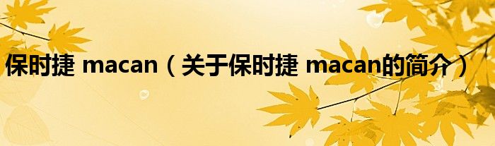 保時捷 macan（關于保時捷 macan的簡介）