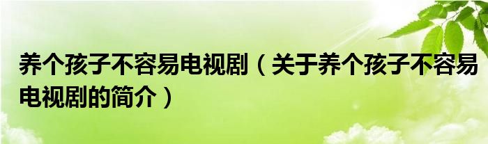 養(yǎng)個(gè)孩子不容易電視?。P(guān)于養(yǎng)個(gè)孩子不容易電視劇的簡(jiǎn)介）