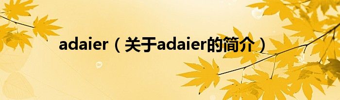 adaier（關(guān)于adaier的簡(jiǎn)介）