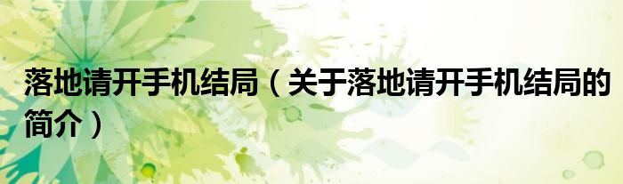 落地請開手機(jī)結(jié)局（關(guān)于落地請開手機(jī)結(jié)局的簡介）