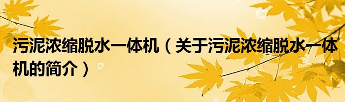 污泥濃縮脫水一體機(jī)（關(guān)于污泥濃縮脫水一體機(jī)的簡(jiǎn)介）