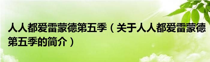 人人都愛雷蒙德第五季（關(guān)于人人都愛雷蒙德第五季的簡介）