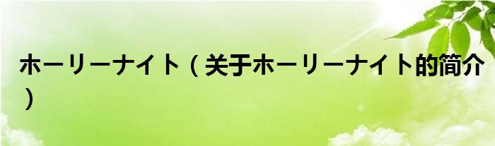 ホーリーナイト（關于ホーリーナイト的簡介）