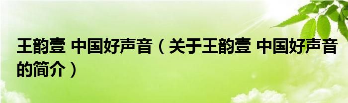 王韻壹 中國(guó)好聲音（關(guān)于王韻壹 中國(guó)好聲音的簡(jiǎn)介）