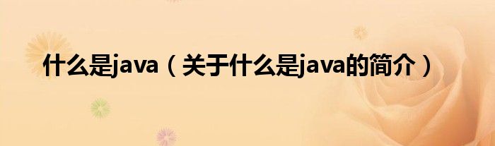 什么是java（關(guān)于什么是java的簡介）