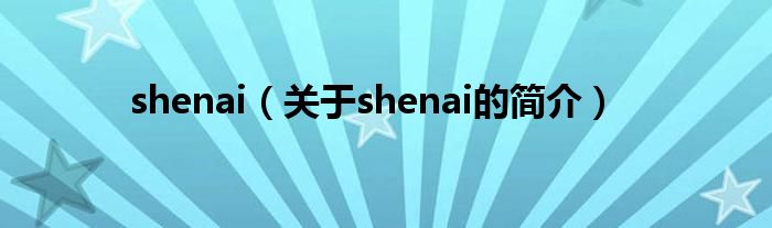 shenai（關(guān)于shenai的簡介）