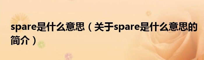 spare是什么意思（關于spare是什么意思的簡介）