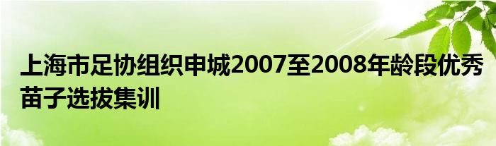 上海市足協組織申城2007至2008年齡段優(yōu)秀苗子選拔集訓