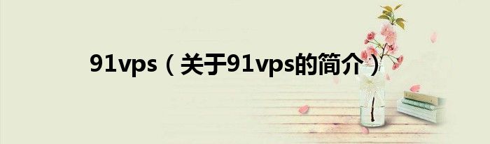 91vps（關(guān)于91vps的簡(jiǎn)介）