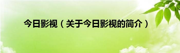 今日影視（關于今日影視的簡介）